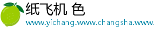 纸飞机 色